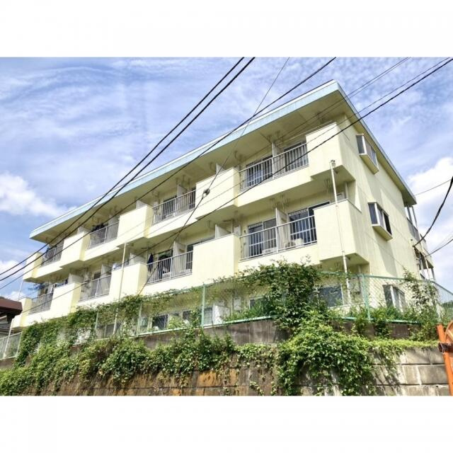 ジュネススズキの画像