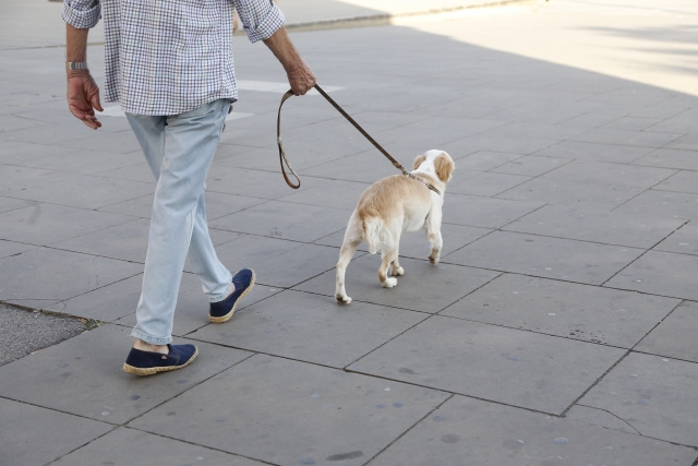 町田市民間パトロール