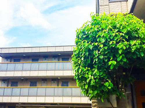 中古マンション