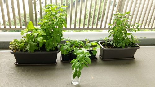 ベランダの画像