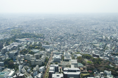 茅ヶ崎市の街並み