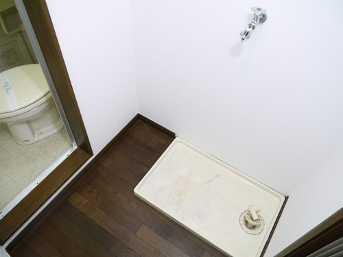 シティパレスやすらぎの道P-2画像