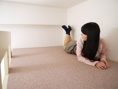 シティパレスやすらぎの道P-2画像