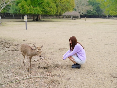 クレア・ド・ルーン高畑画像