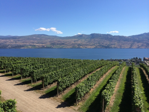 神戸市西区 神戸ワイナリー