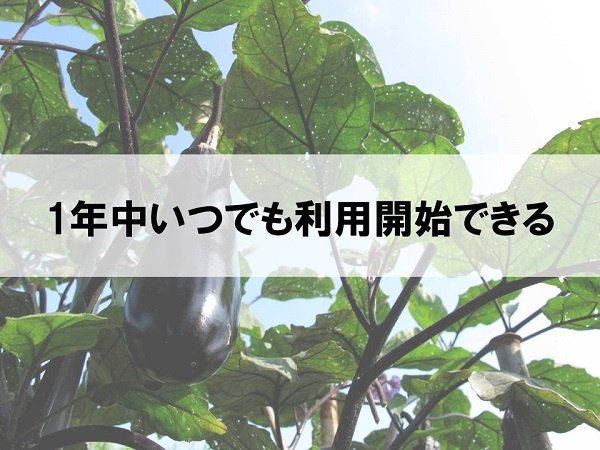 1年中いつでも利用開始できる