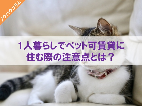 ペット可賃貸は事前申告が必要