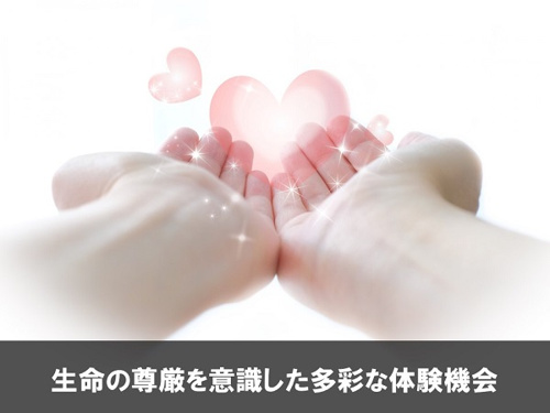 生命の尊厳を意識した多彩な体験機会