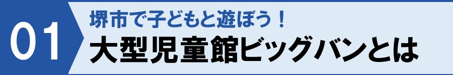 堺市で子どもと遊ぼう!大型児童館ビッグバンとは