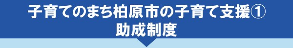 子育てのまち柏原市の子育て支援①助成制度