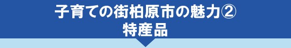 子育ての街柏原市の魅力②特産品