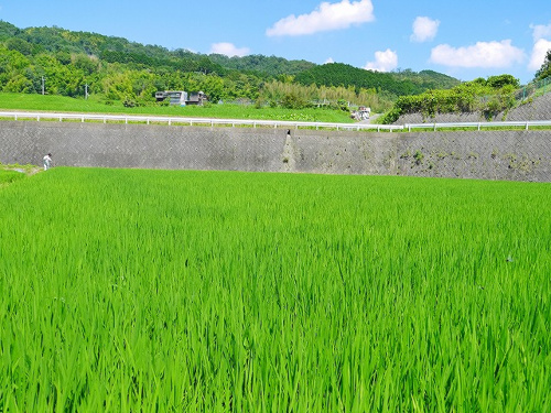 【食のプロジェクトvol.11最終章】