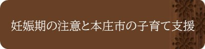 <妊娠期の注意と本庄市の子育て支援>