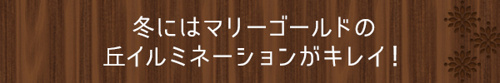 冬にはマリーゴールドの丘イルミネーションがキレイ!