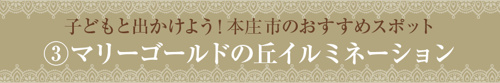 子どもと出かけよう!本庄市のおすすめスポット③マリーゴールドの丘イルミネーション