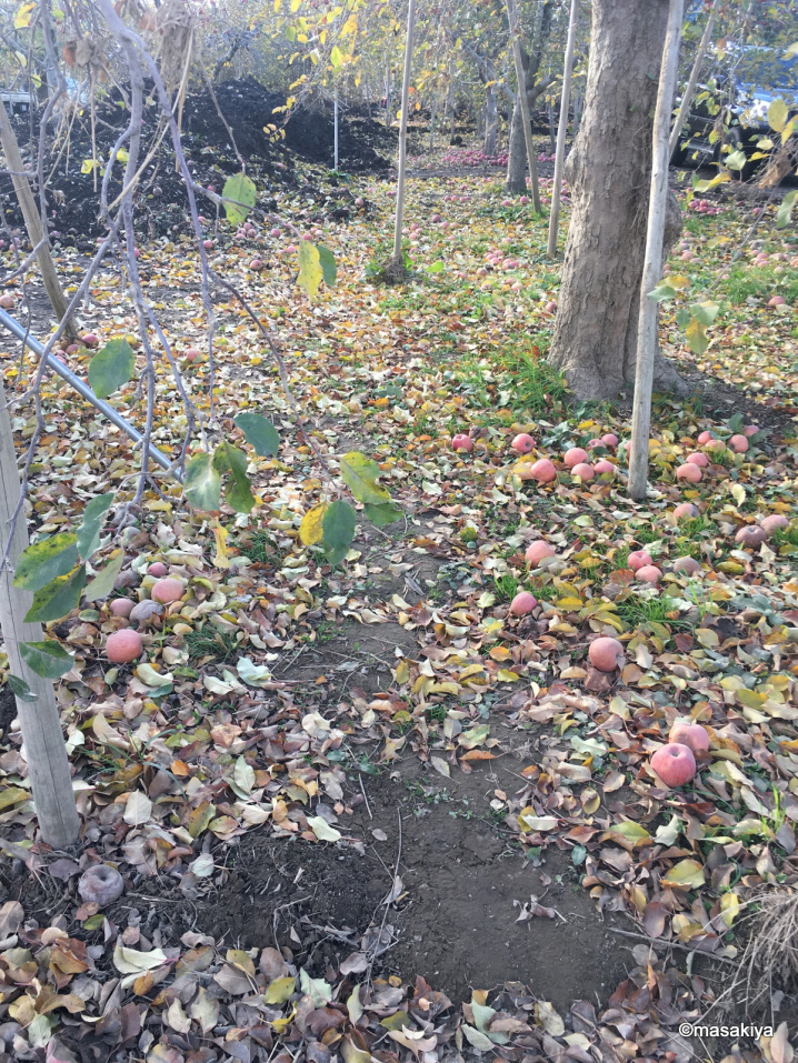 長野市 赤沼 被災地