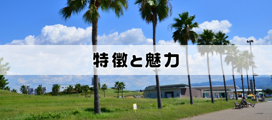 特徴と魅力