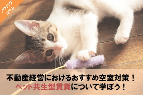 ペット共生型賃貸のイメージ画像