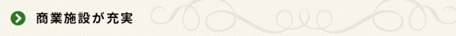 <商業施設が充実>