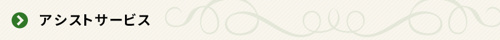 <アシストサービス>