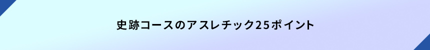 史跡コースのアスレチック25ポイント