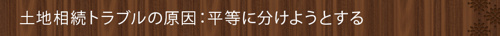 <土地相続トラブルの原因:平等に分けようとする>