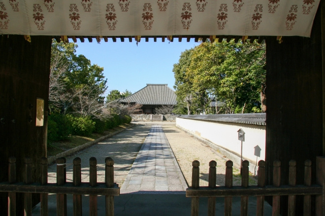 【大和西大寺駅 vs 学園前駅】オススメスポットは?