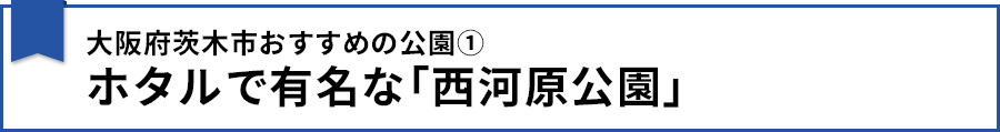 【大阪府茨木市おすすめの公園①ホタルで有名な「西河原公園」】