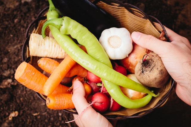 津田沼にある人気のオーガニック食品専門店「こだわりや」のこだわりとは?