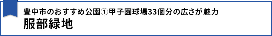 【豊中市のおすすめ公園①甲子園球場33個分の広さが魅力 服部緑地】