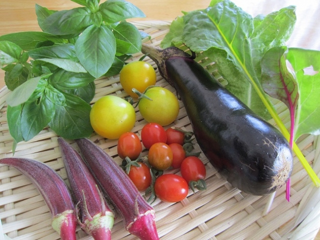 【どのような野菜・果物を育てることができるのか?】