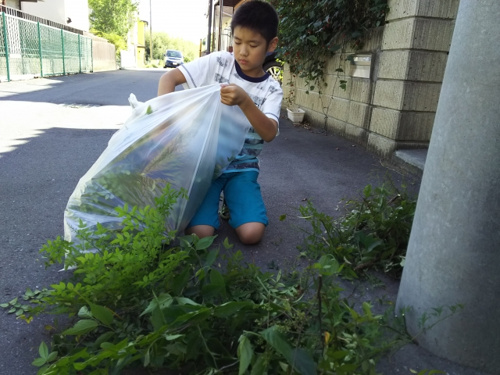 子育てを応援する渋谷区のアフタースクール「ミライLabo」とは?