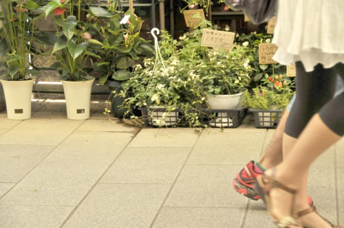 横浜市保土ヶ谷区の西谷商店街!とうふ工房 夢21や西谷駅