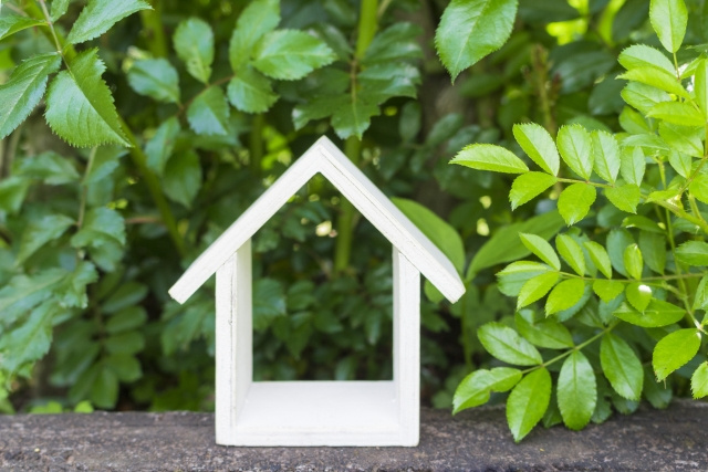 【カビで発症する真菌症】まとめ