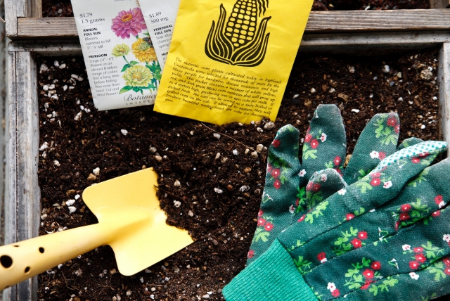 【賃貸の専用庭はどう使う?】癒し空間に家庭菜園。活用方法ご紹介!