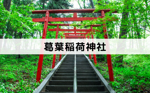 和泉市の初詣にオススメな神社2~葛葉稲荷神社~