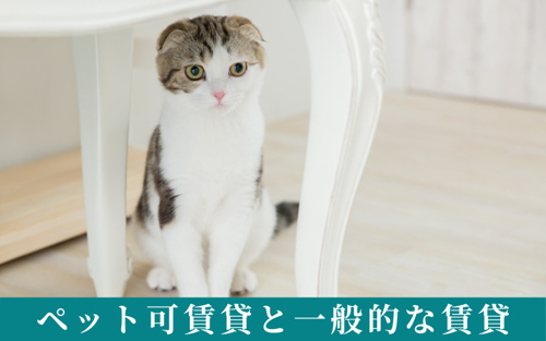 ペット可賃貸と一般的な賃貸の違い