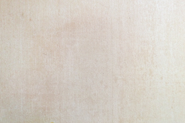 喫煙による臭いやヤニ汚れ、ペットの臭いなども借主の責任になることも