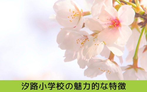 瑞穂区・汐路小学校の魅力的な特徴