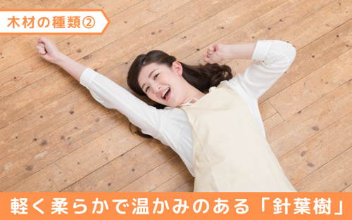 無垢フローリングに使われる木材の種類②軽く柔らかで温かみのある「針葉樹」