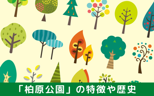 福岡市南区「柏原公園」の特徴や歴史