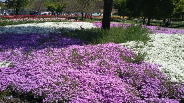 市川市ゆかりの文化人郭沫若氏について学べる郭沫若記念館