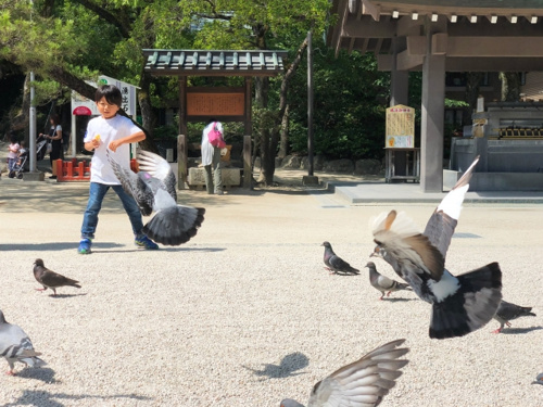 福岡市東区のパワースポットである筥崎宮の見どころは?