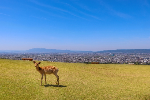 【奈良県の賃貸物件事情とは?】まとめ