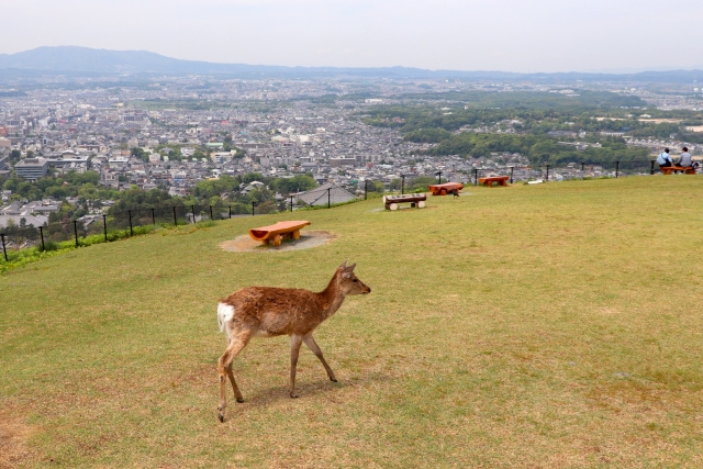 奈良県とはどういうところなのか?