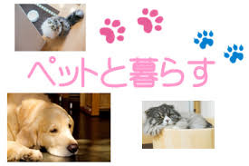 ペット可