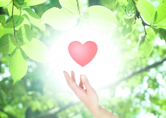 心地良く生きるためのyogaのエッセンス~恋も仕事も健康も全部手に入れたいあなたへ~