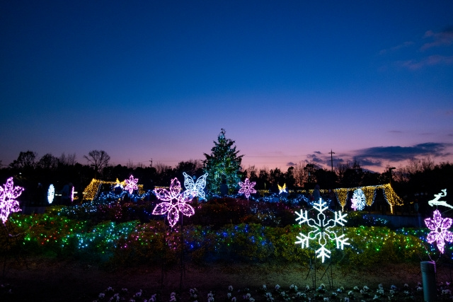 夜景番外編② 馬見丘陵公園