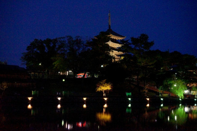 天に向かってそびえる 興福寺 五重塔