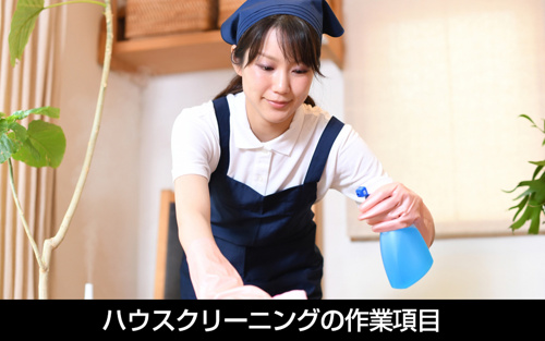 賃貸物件で依頼できるハウスクリーニングの作業項目とは